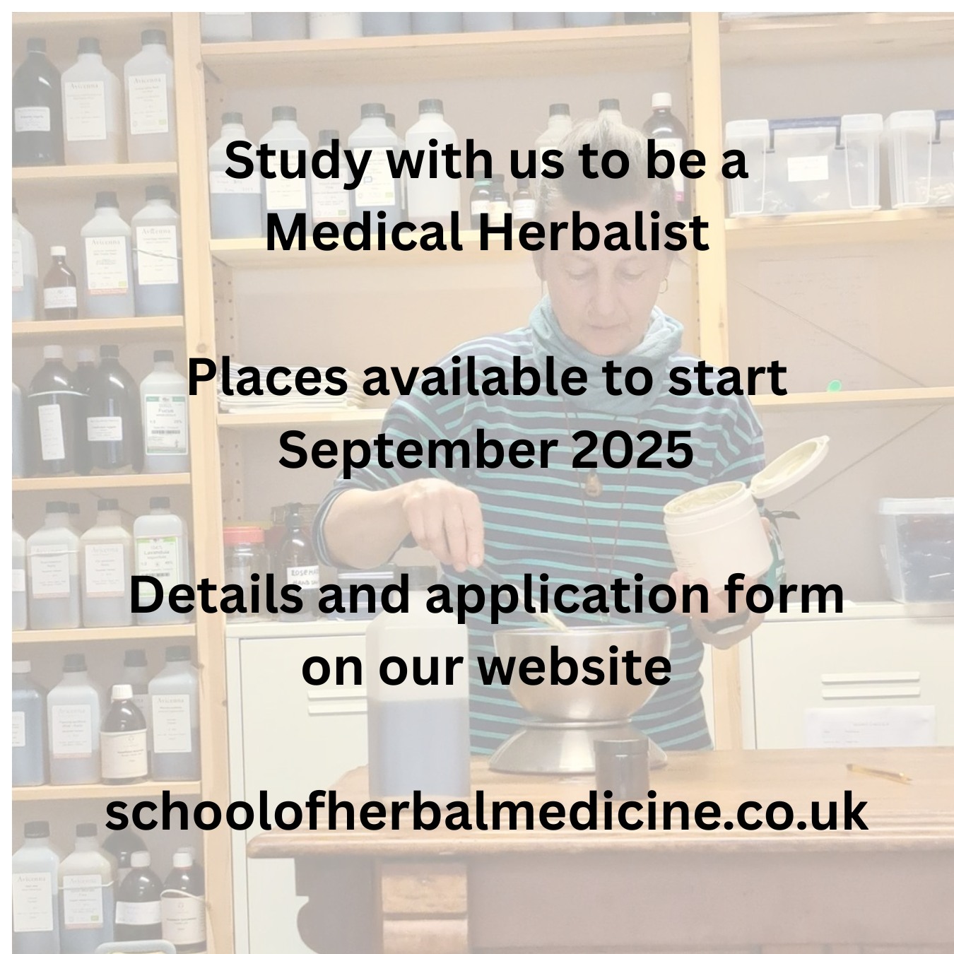 Curated visual reference: Gallery Detail: The School Of Herbal The School Of Herbal Medicine