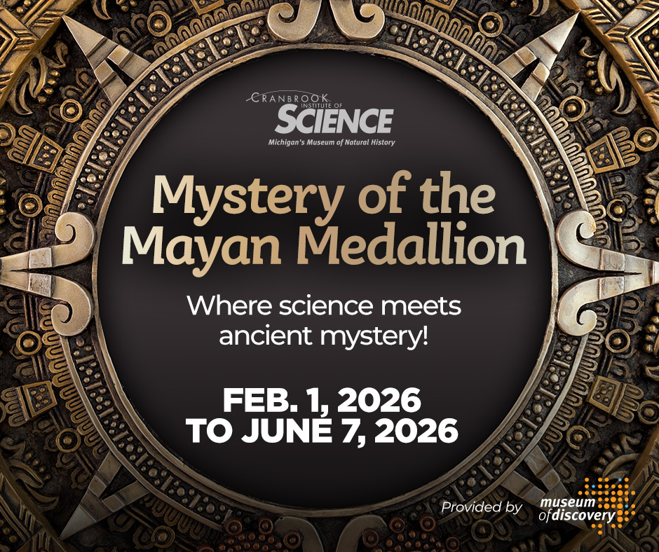 Cranbrook - Discover the secrets of a Mayan tomb! https://science ...