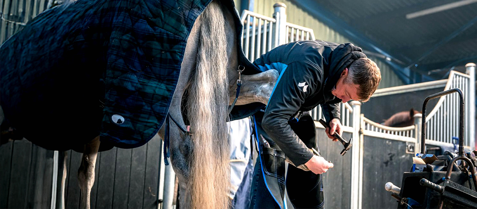 Anderson Performance Horses... - Anderson Performance Horses