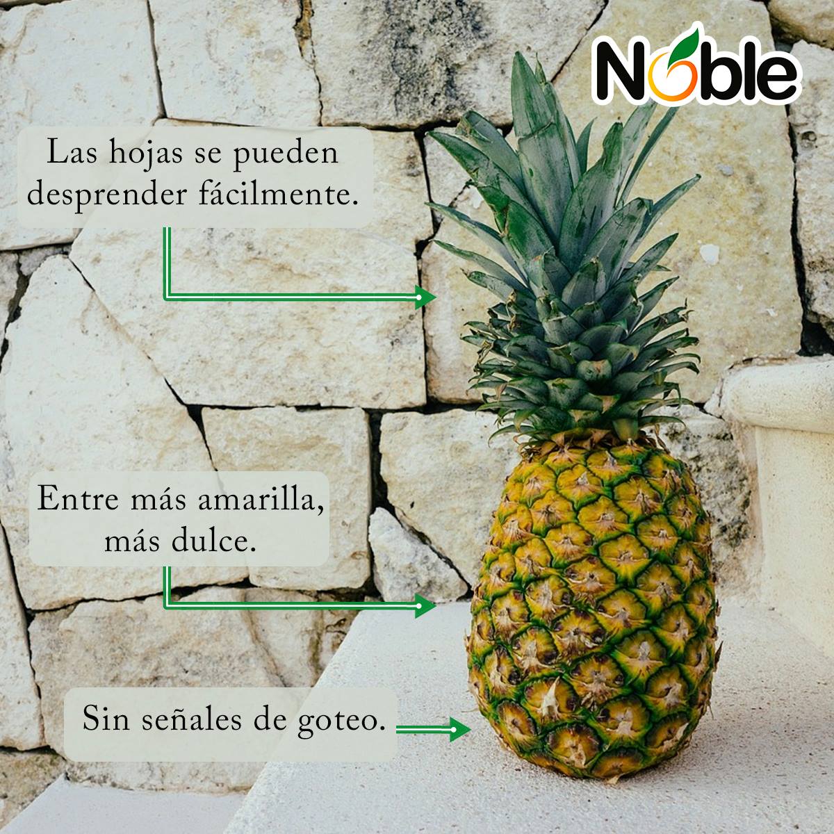 Jugos Noble - ¿Sabes escoger una piña? ¡Sigue estos tips...