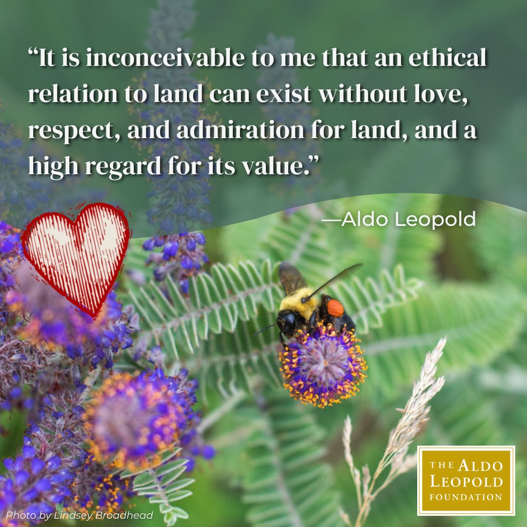 “It is inconceivable to me that... - Aldo Leopold Foundation | Facebook