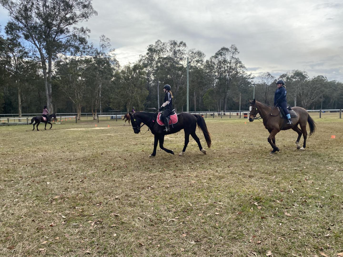 Moonlight Manor Horse... - Moonlight Manor Horse Riding