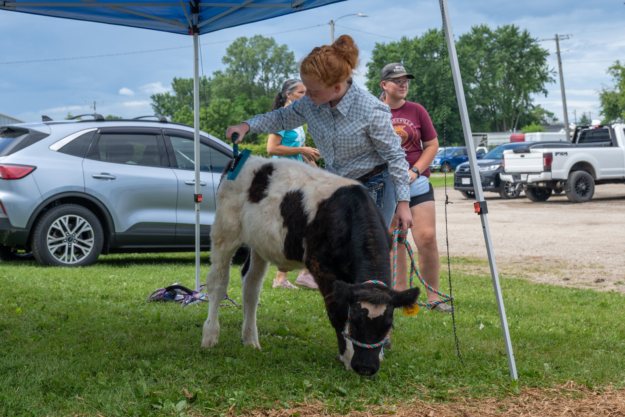 Columbia County... - Columbia County Fair--Portage, WI 53901