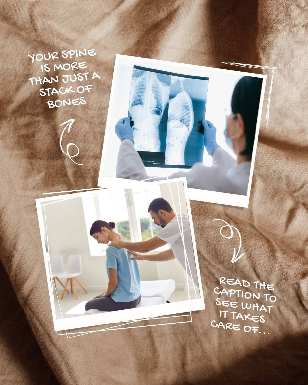 Bayside - The Spine: A Guide to Healthy Alignment 🦴 Your spine is more ...
