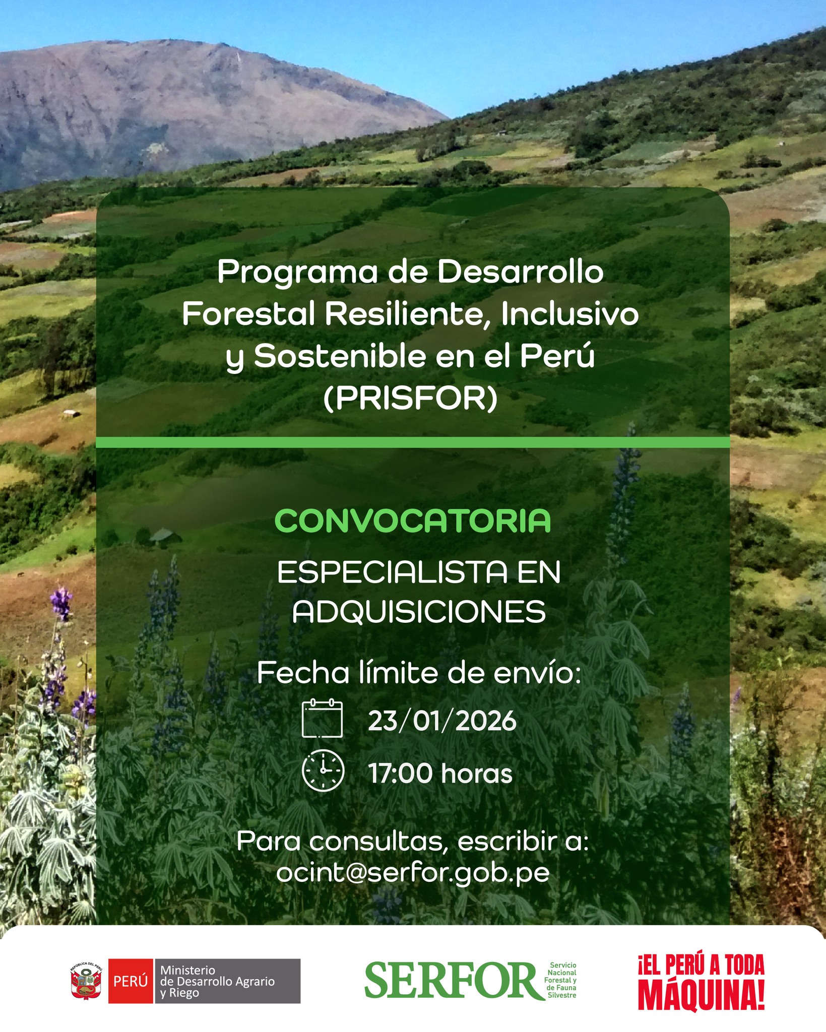 Serfor - El Servicio Nacional Forestal y de Fauna Silvestre (SERFOR ...