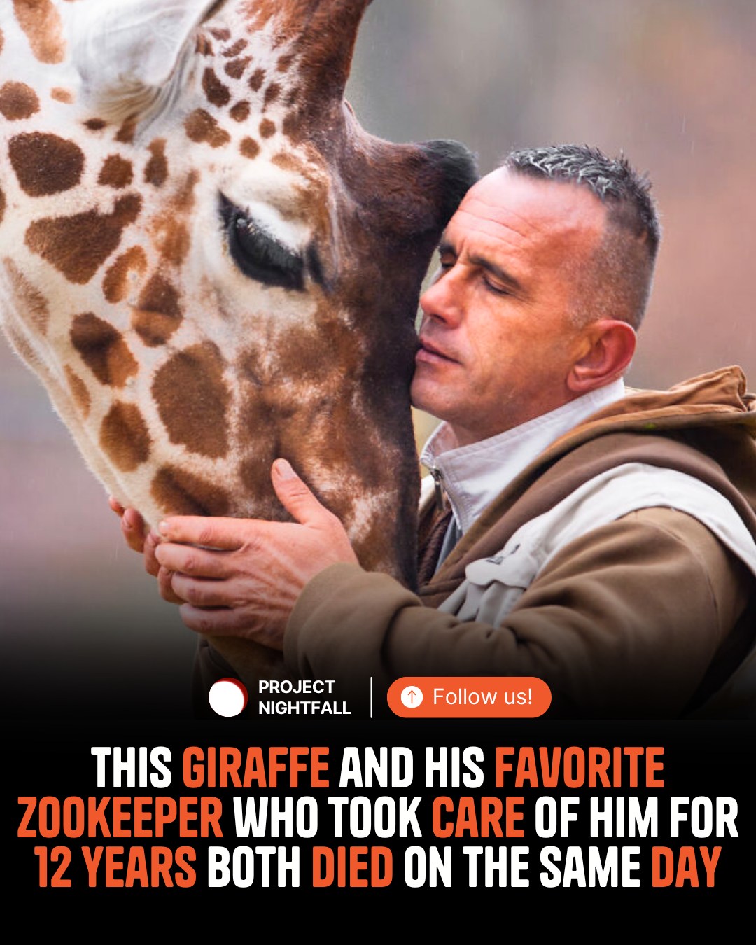 Project - On November 26, 2023, Skopje Zoo lost Riste Trajkovski, a ...