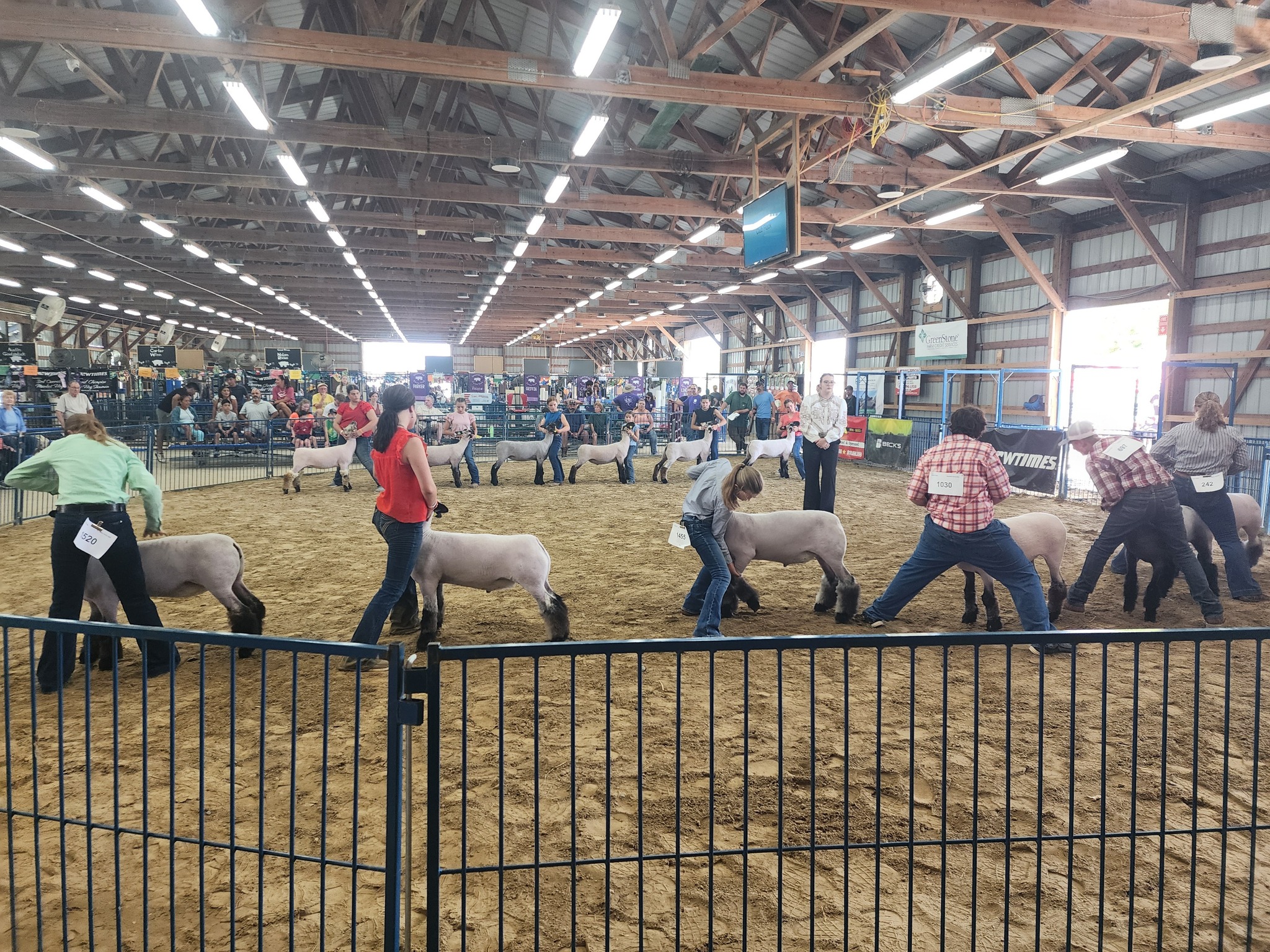 Armada Fair Youth Livestock Auction | Armada MI