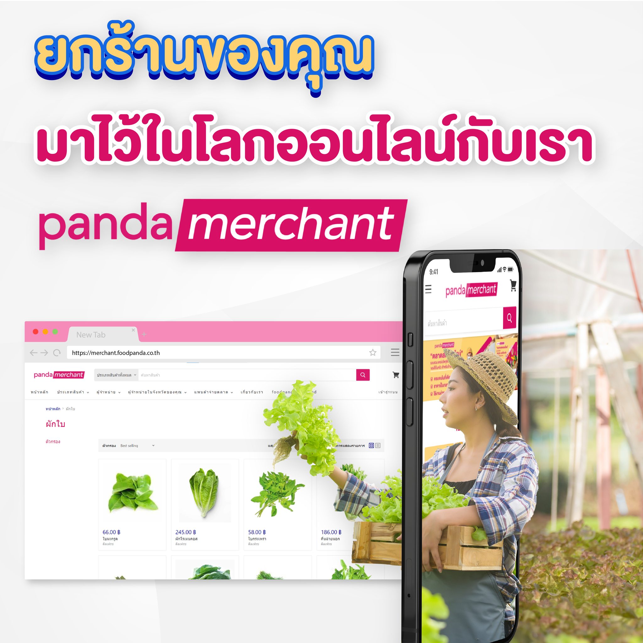 Pandamerchant