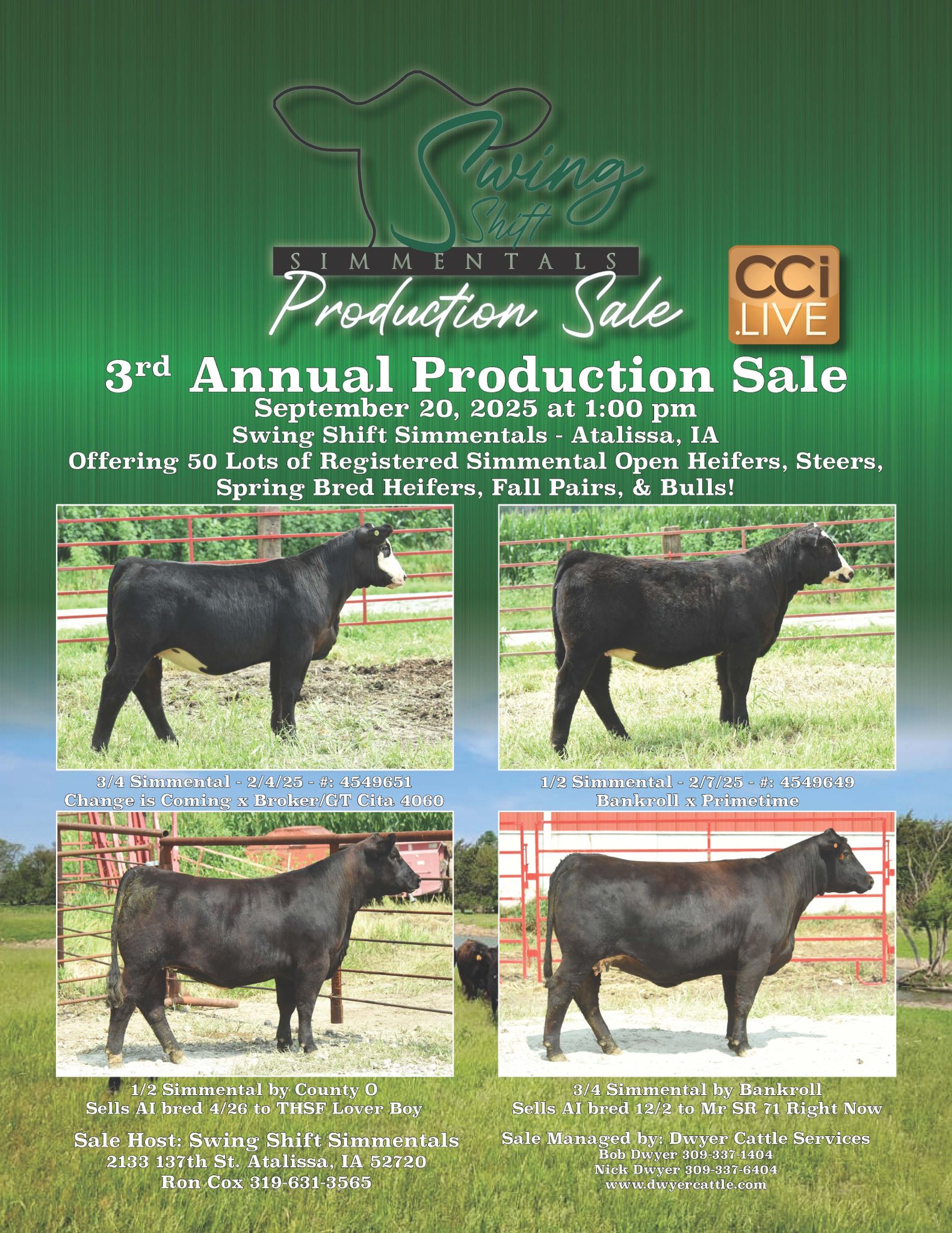 Dwyer Cattle - The order is set and the cattle are ready... | Facebook