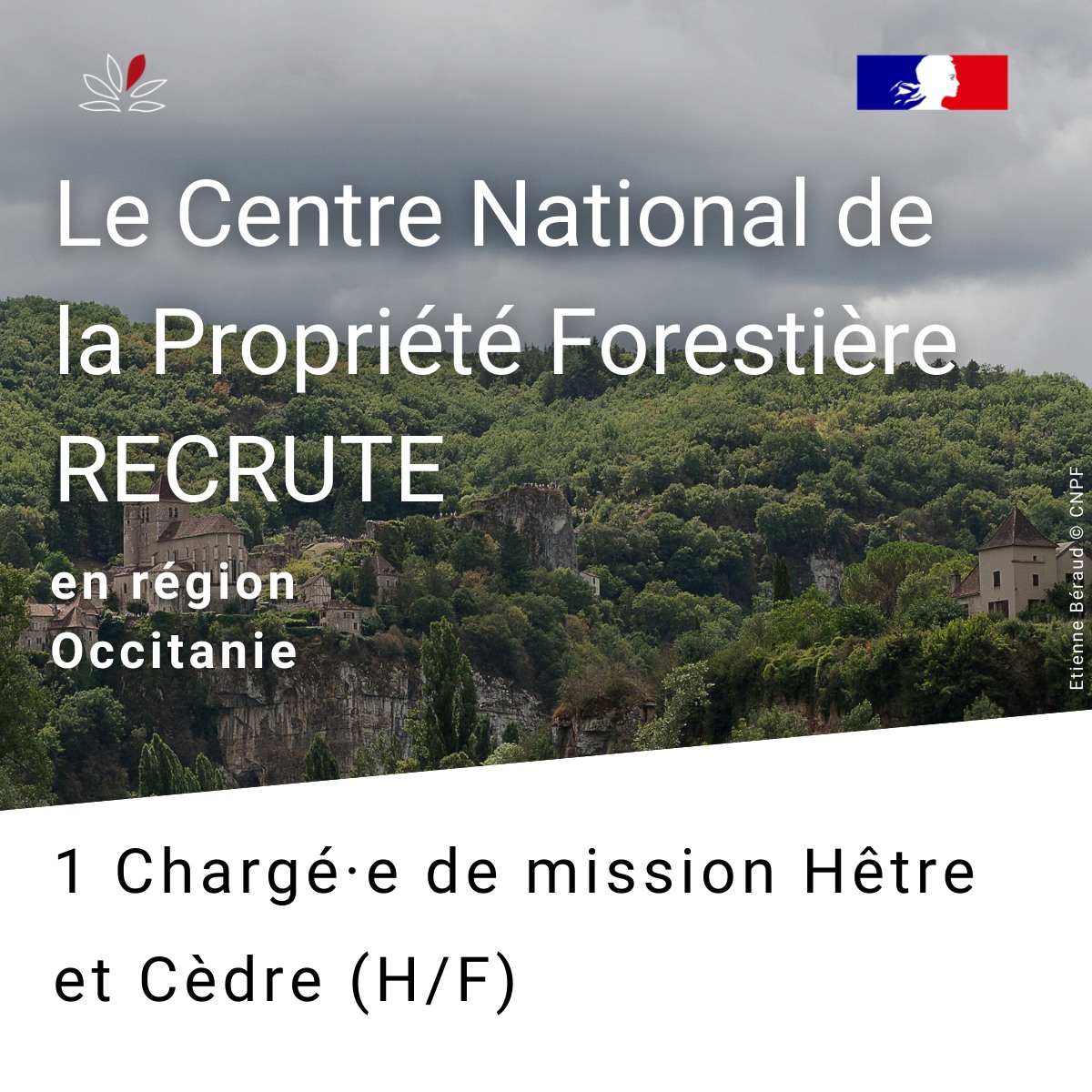 CNPF - 📣 Le CNPF – Occitanie recrute : 👉 1 Chargé·e de mission Hêtre et ...