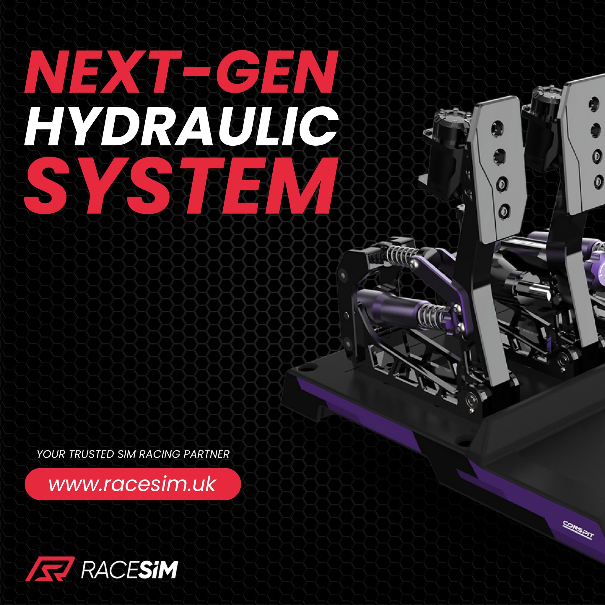 Race Sim - Engineered for elite sim racing performance. 🔹... | Facebook