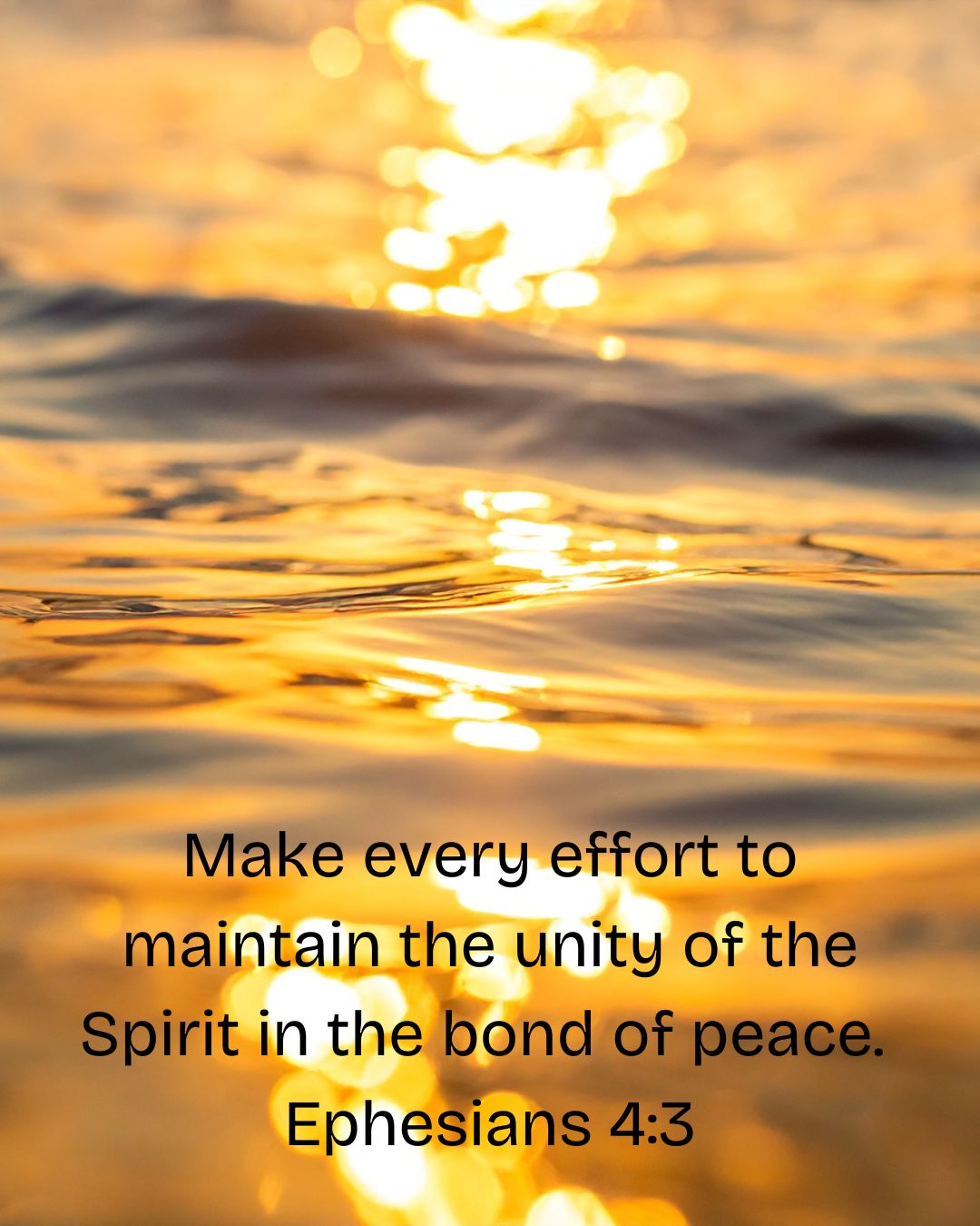 LaPorte - Week of Prayer for Christian Unity 2026 Day Three: The bond ...