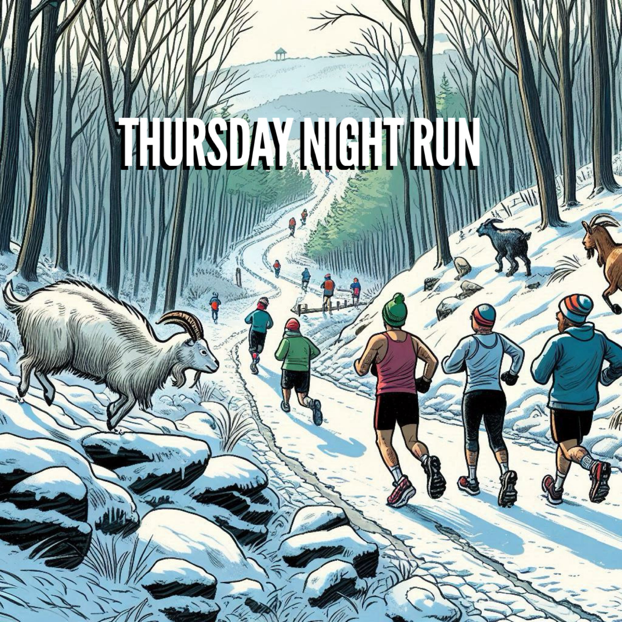 Thursday Night Run