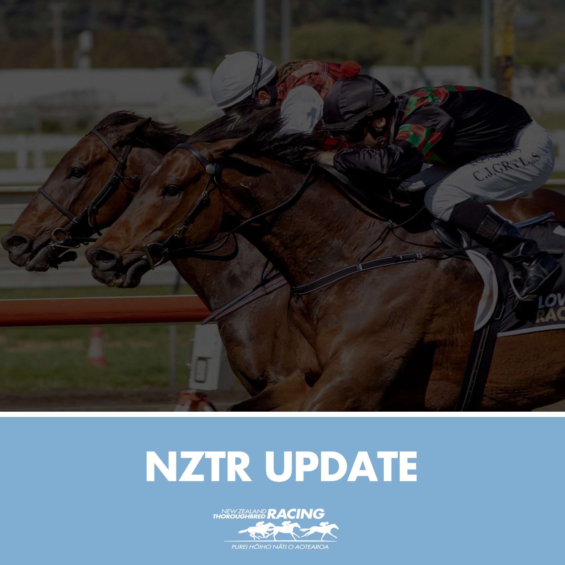 NZTR
