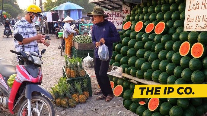 The IP - 🌟 Vietnam