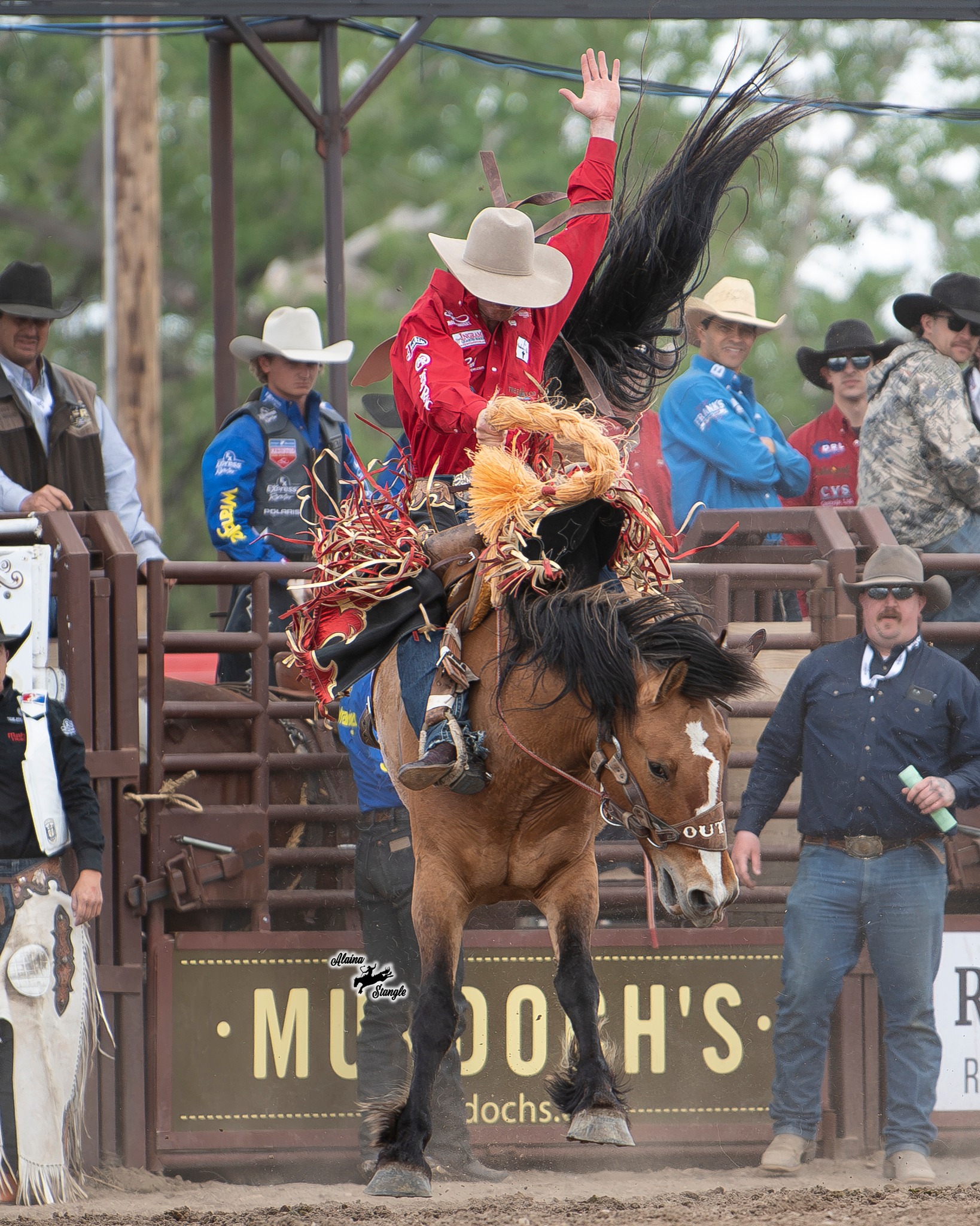 World - 🔥 The countdown to the NFR is officially ON! Big shoutout to ...