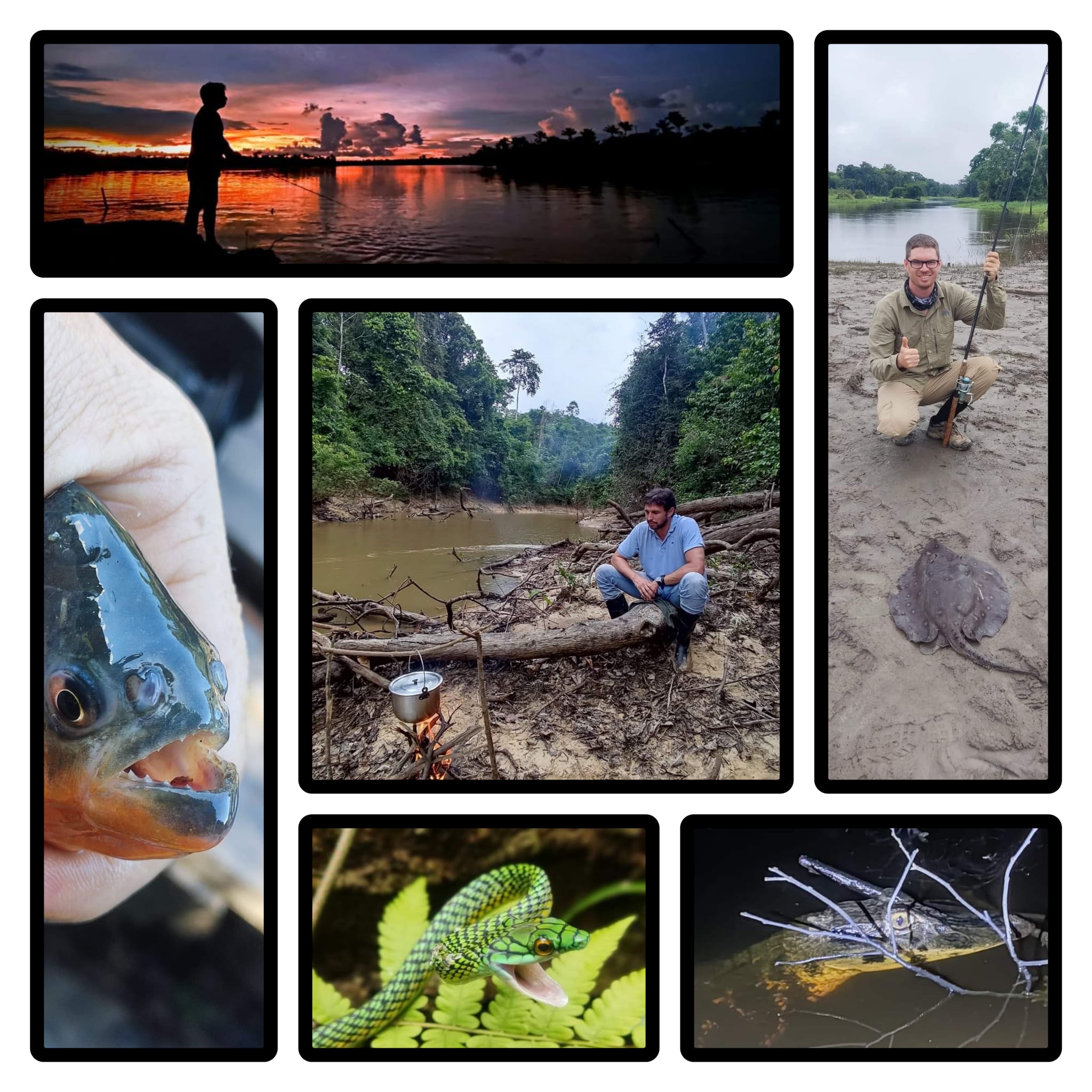 Wildlife Tours Peru | Iquitos