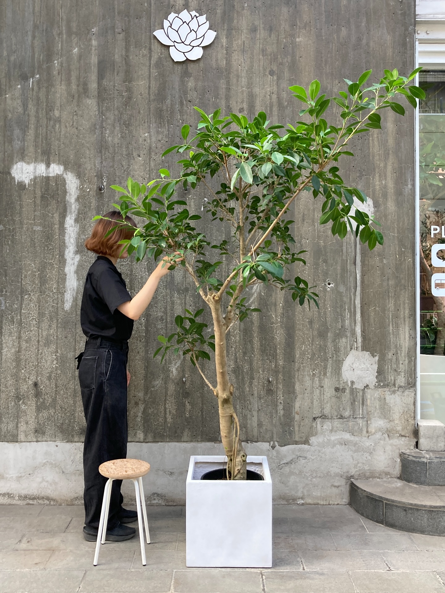 活動歴および当時の関連ビジュアル記録