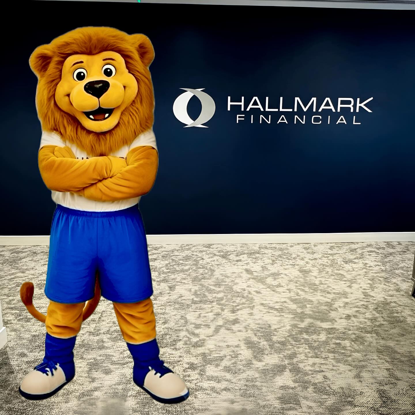Hallmark Financial Services, Inc. | Dallas TX