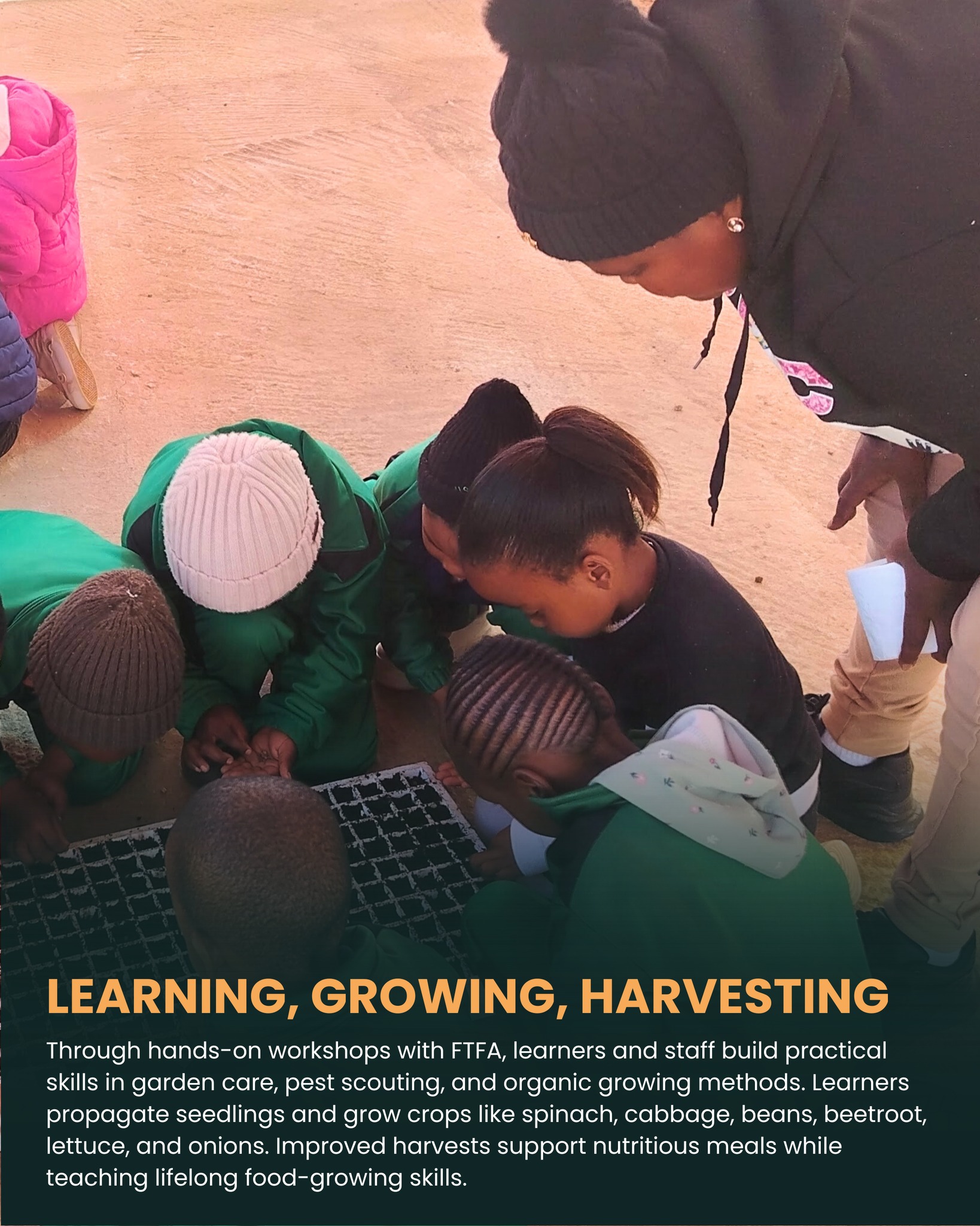 Food & Trees for Africa - Happy International Day of Forests, South ...