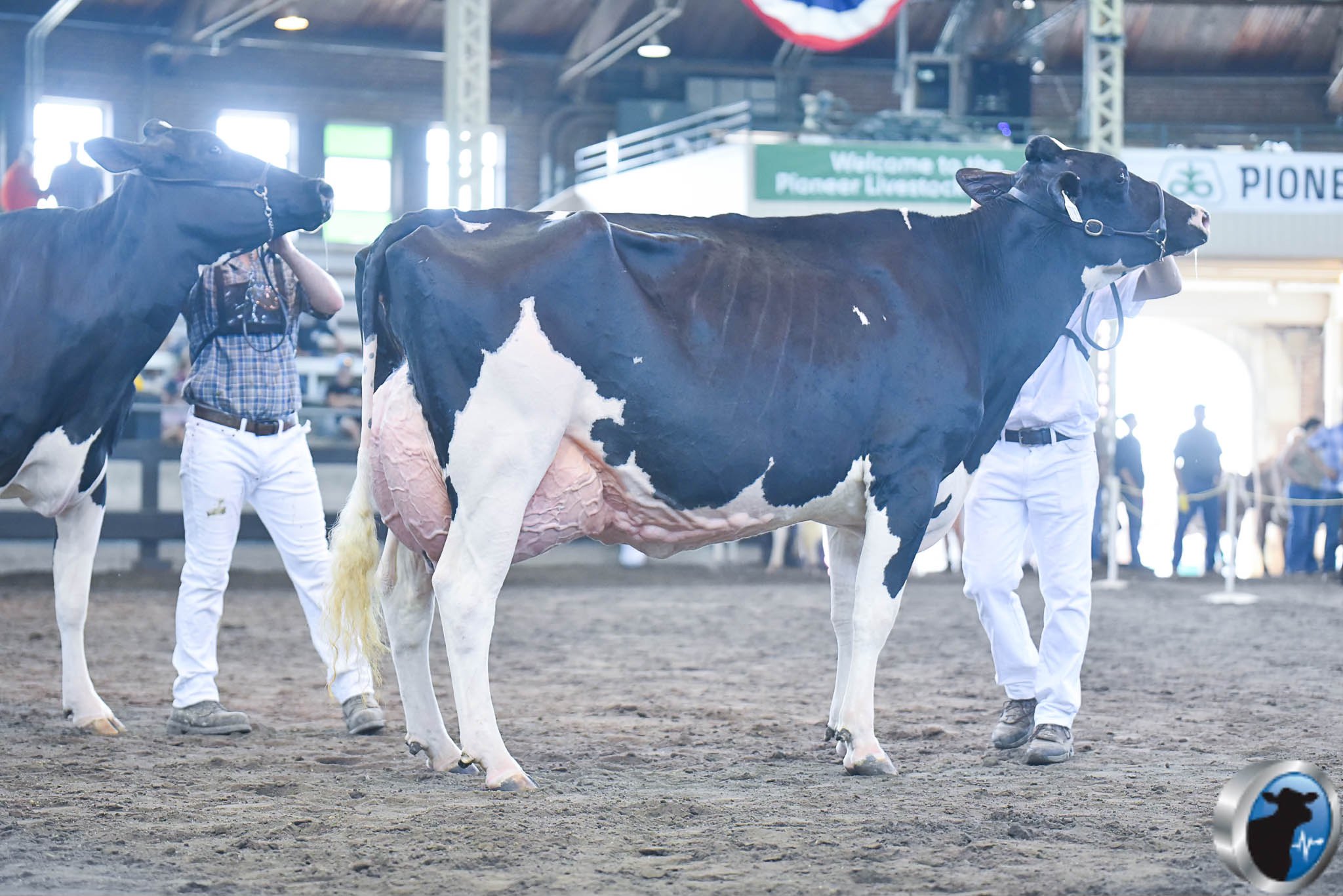 GenoSource | Blairstown IA
