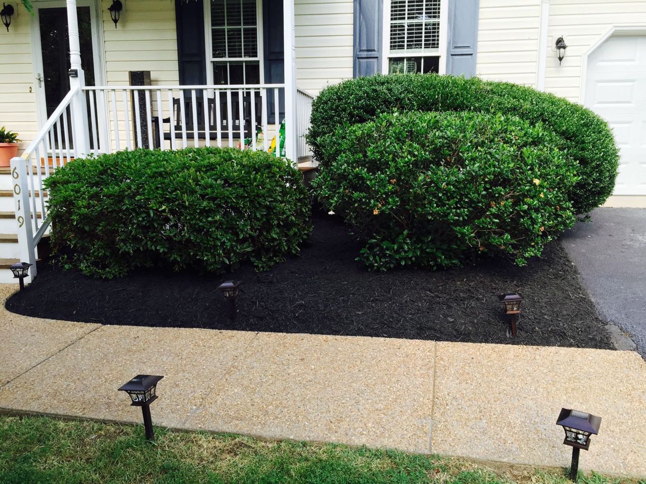 Spring landscape tree service