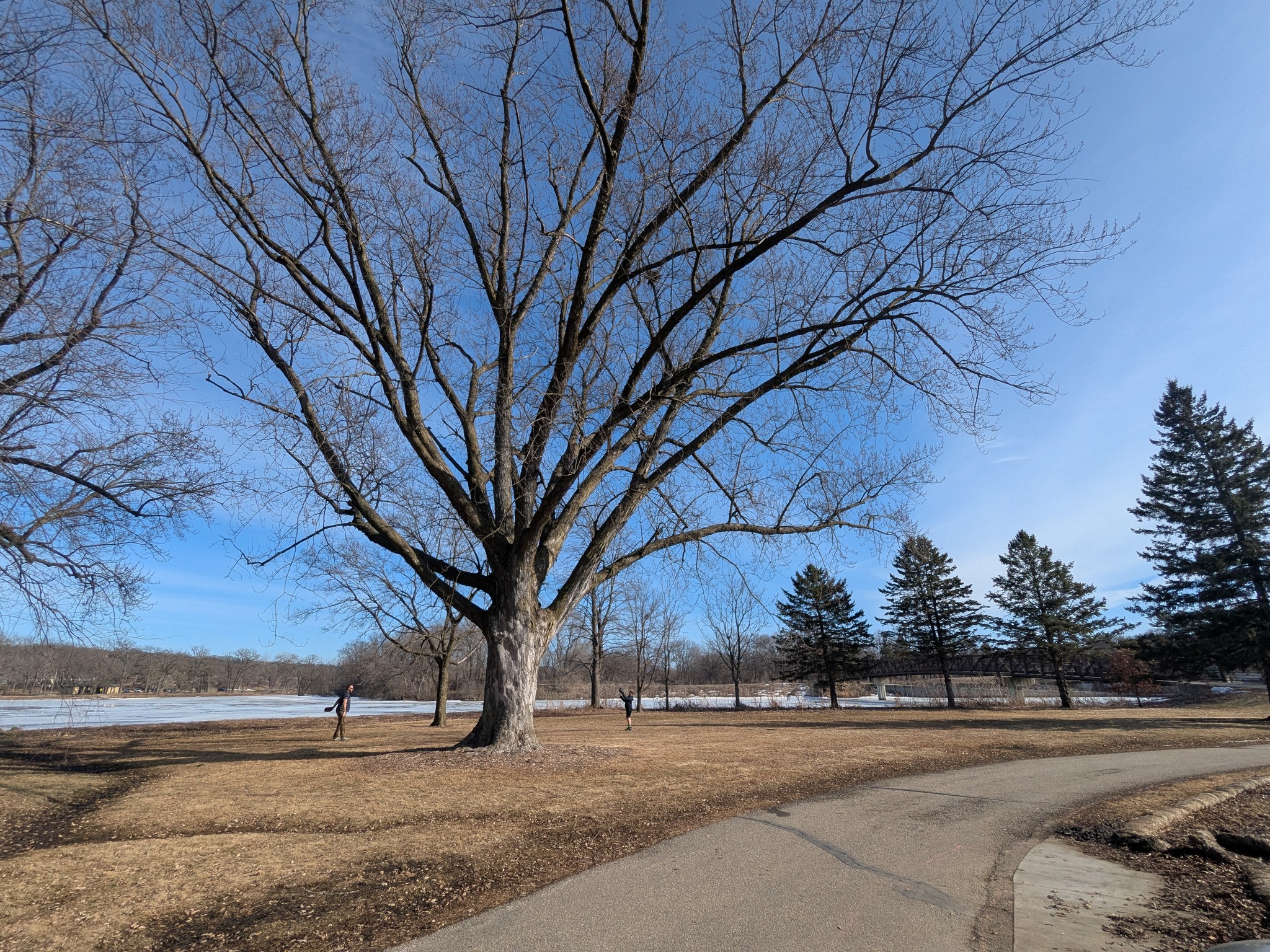 Rochester Parks Foundation