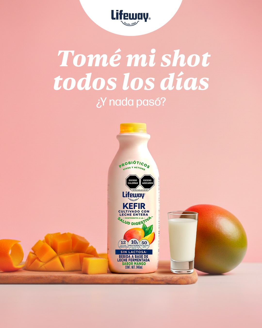 Lifeway Kéfir México - Pudin de Bayas y Chía 🫐🍓🥛 Porciones: 1 – 2 ...