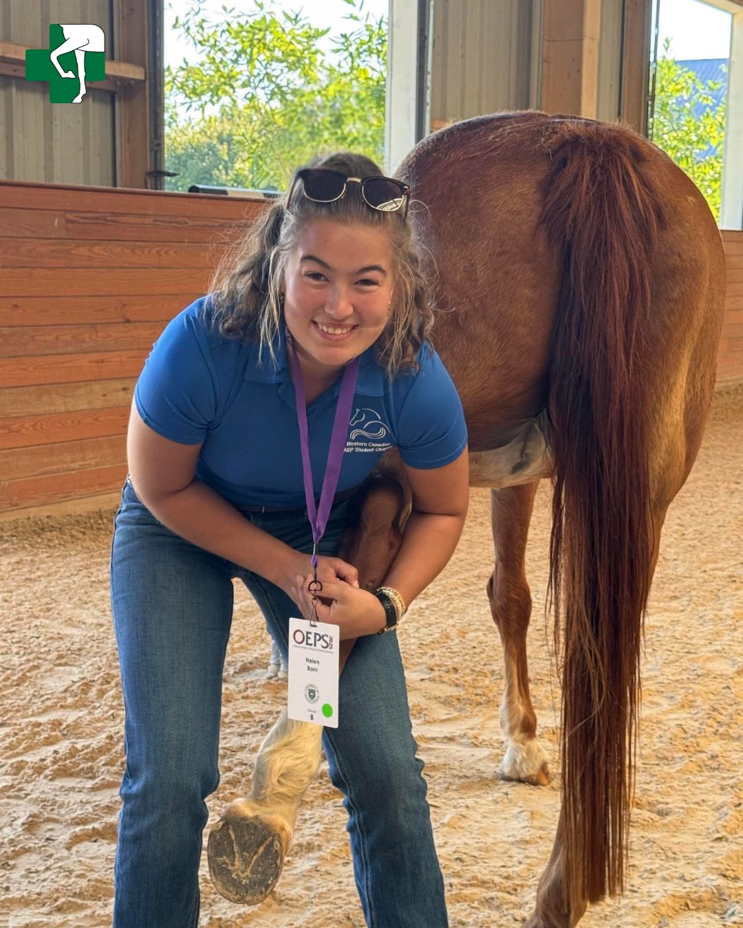 Rood & Riddle Equine... - Rood & Riddle Equine Hospital