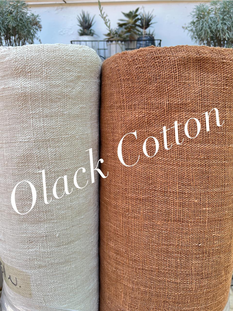 Olack Cotton - Olack Cotton added a new photo.