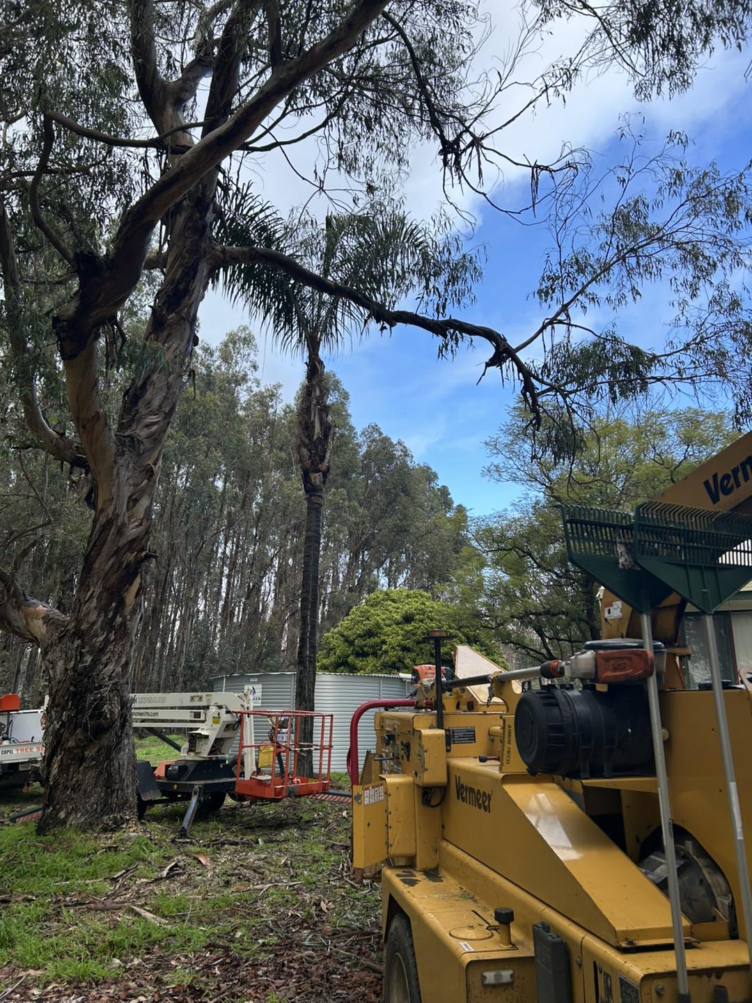 Capel Tree Service | Capel WA