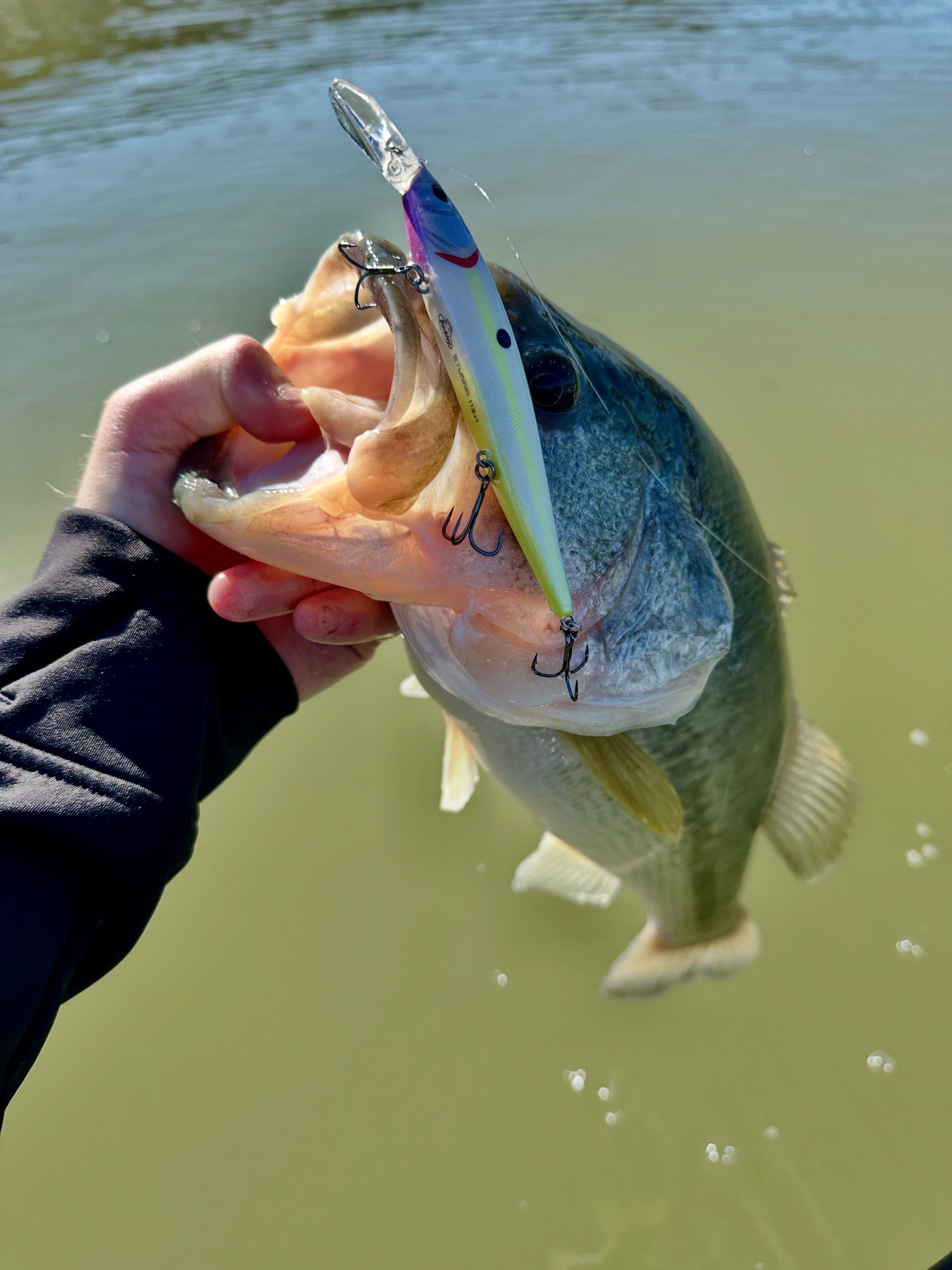 Berkley Fishing - Can’t go wrong with any of the 21 colors... | Facebook