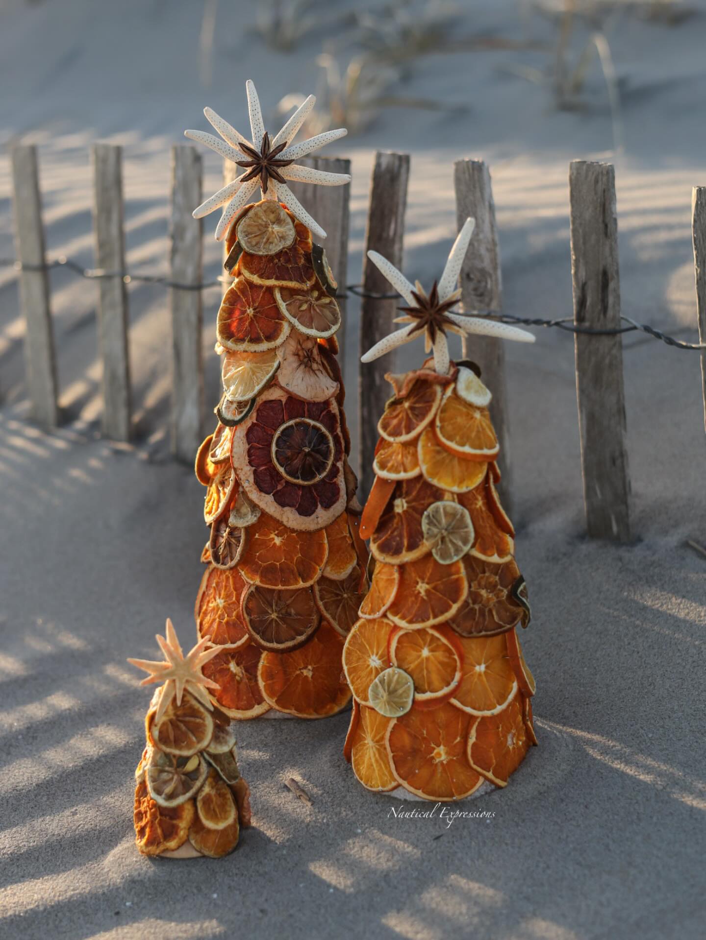 Nautical - This year I decided to make dried citrus trees… These trees ...