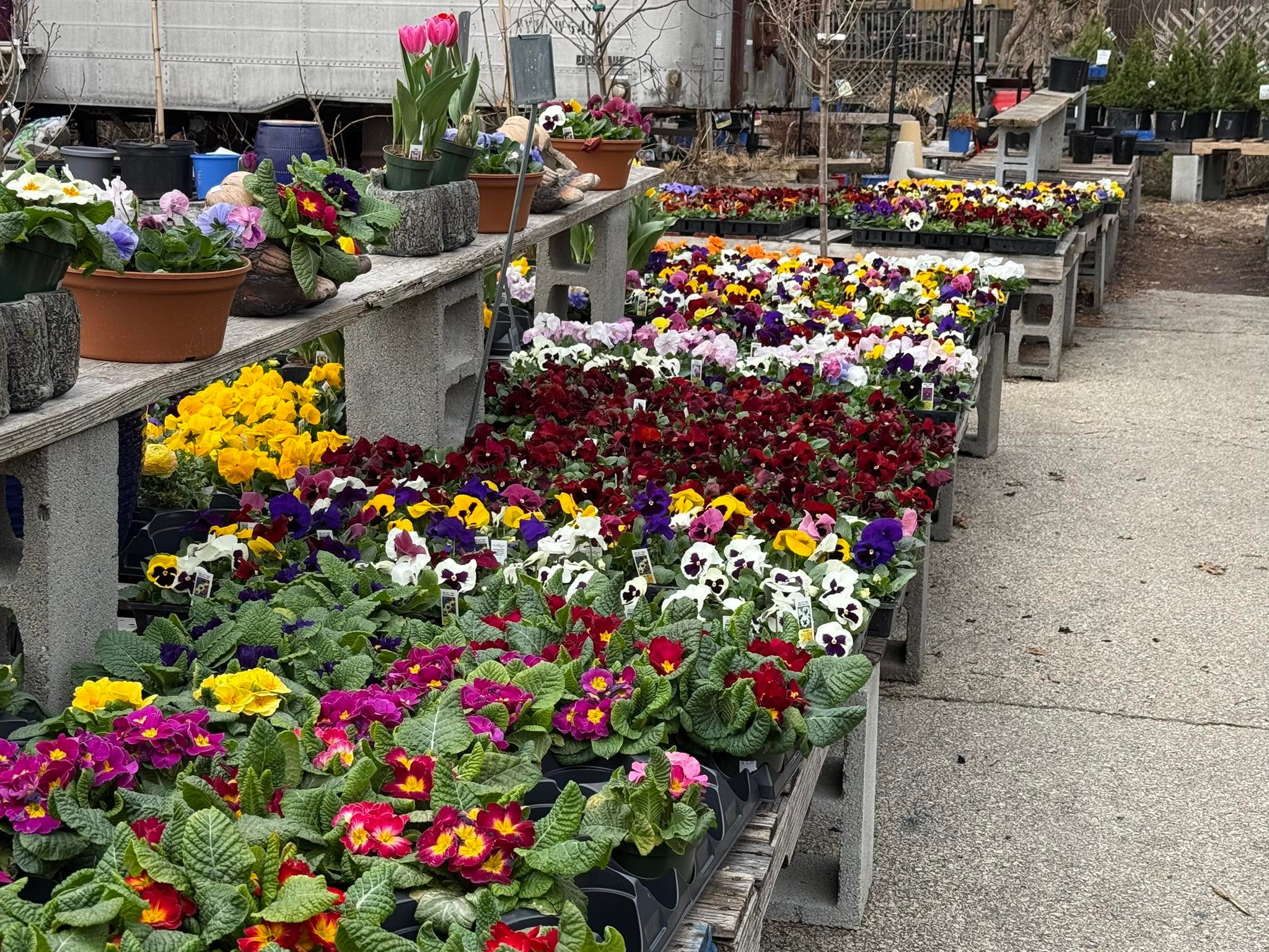 The Secret Garden | Philadelphia PA