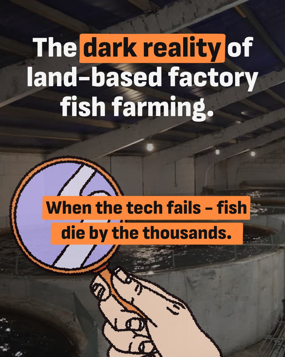 🚨 The dark... - Foodrise - for climate, nature, justice | Facebook