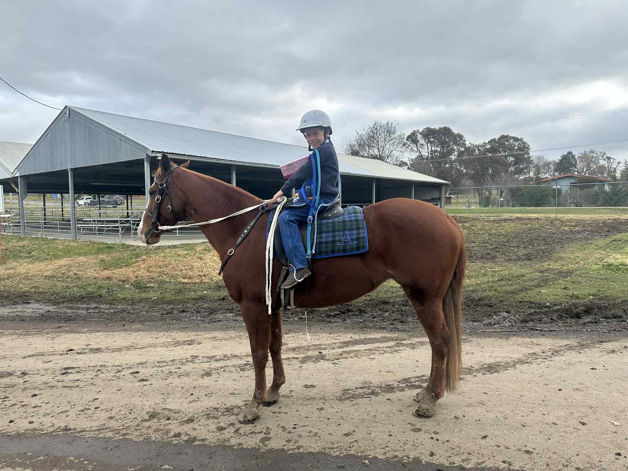 Kootingal & District Pony... - Kootingal & District Pony Club