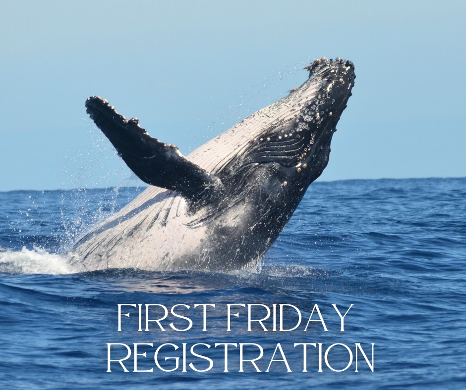 This course will be open for registration on Friday, August 1 at ...
