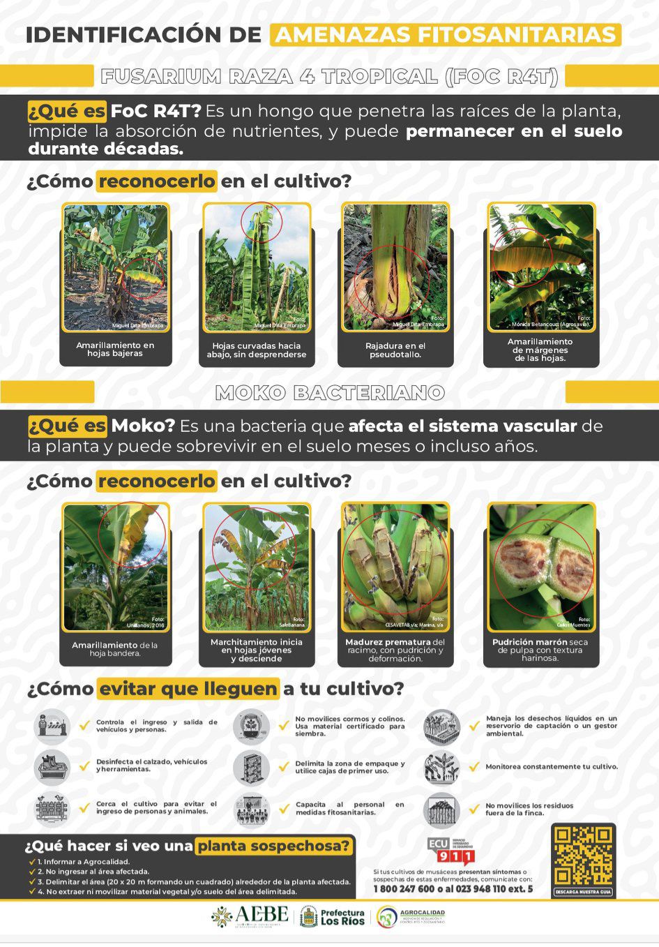 Visión a La Producción added a... - Visión a La Producción