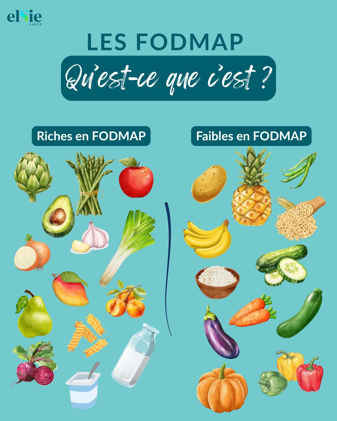 Pharmacie - 🔎 Les FODMAP, qu'est-ce que c'est ? Les FODMAP sont des ...