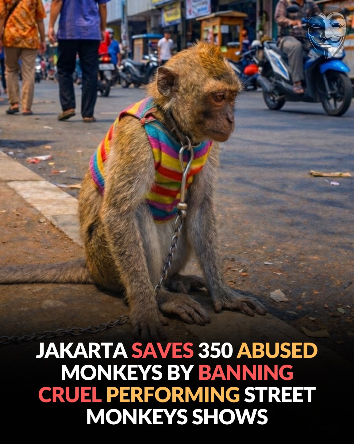 Anonymous - Jakarta saves 350 abused monkeys by banning cruel ...