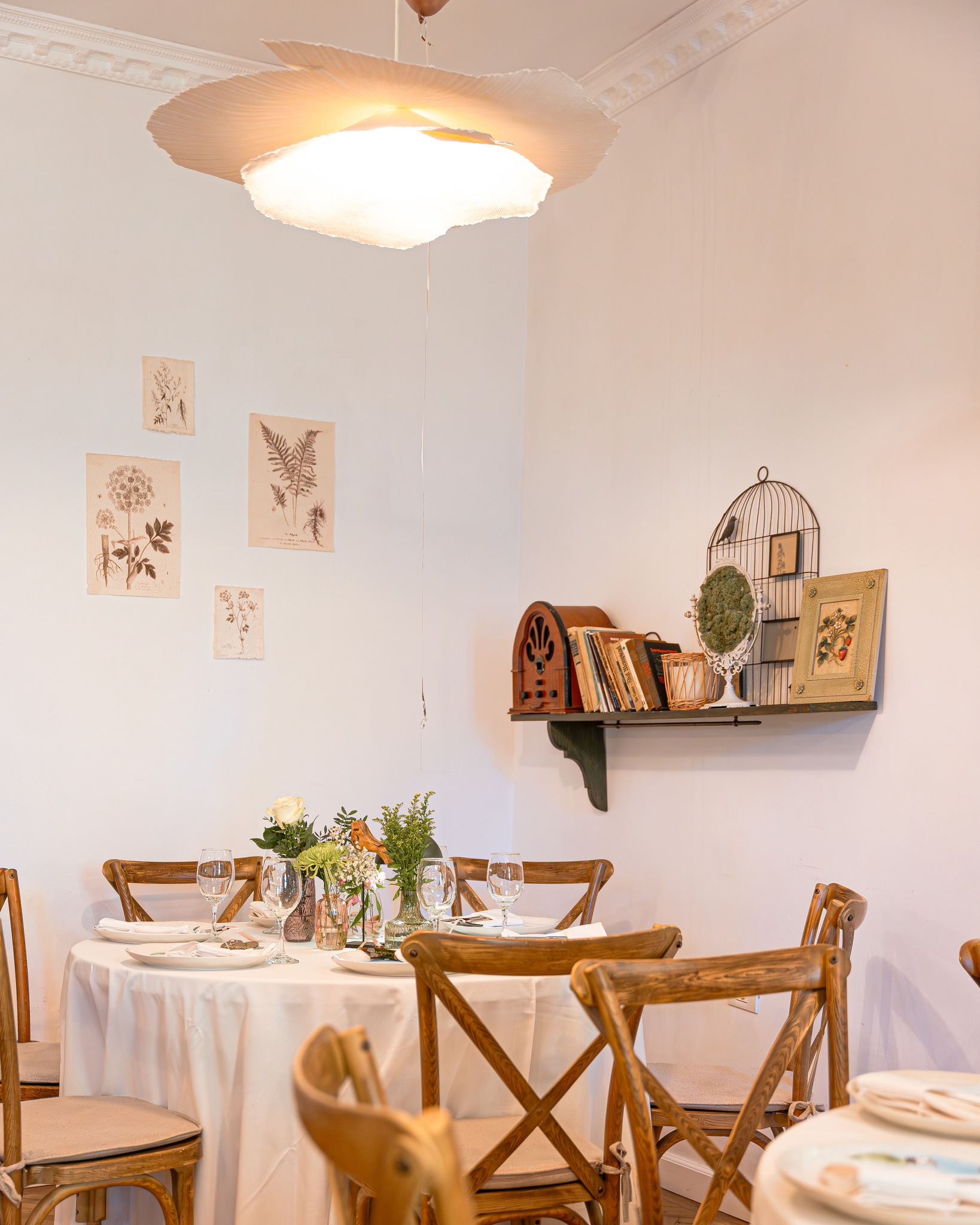 Naturalia Inn | Brasov