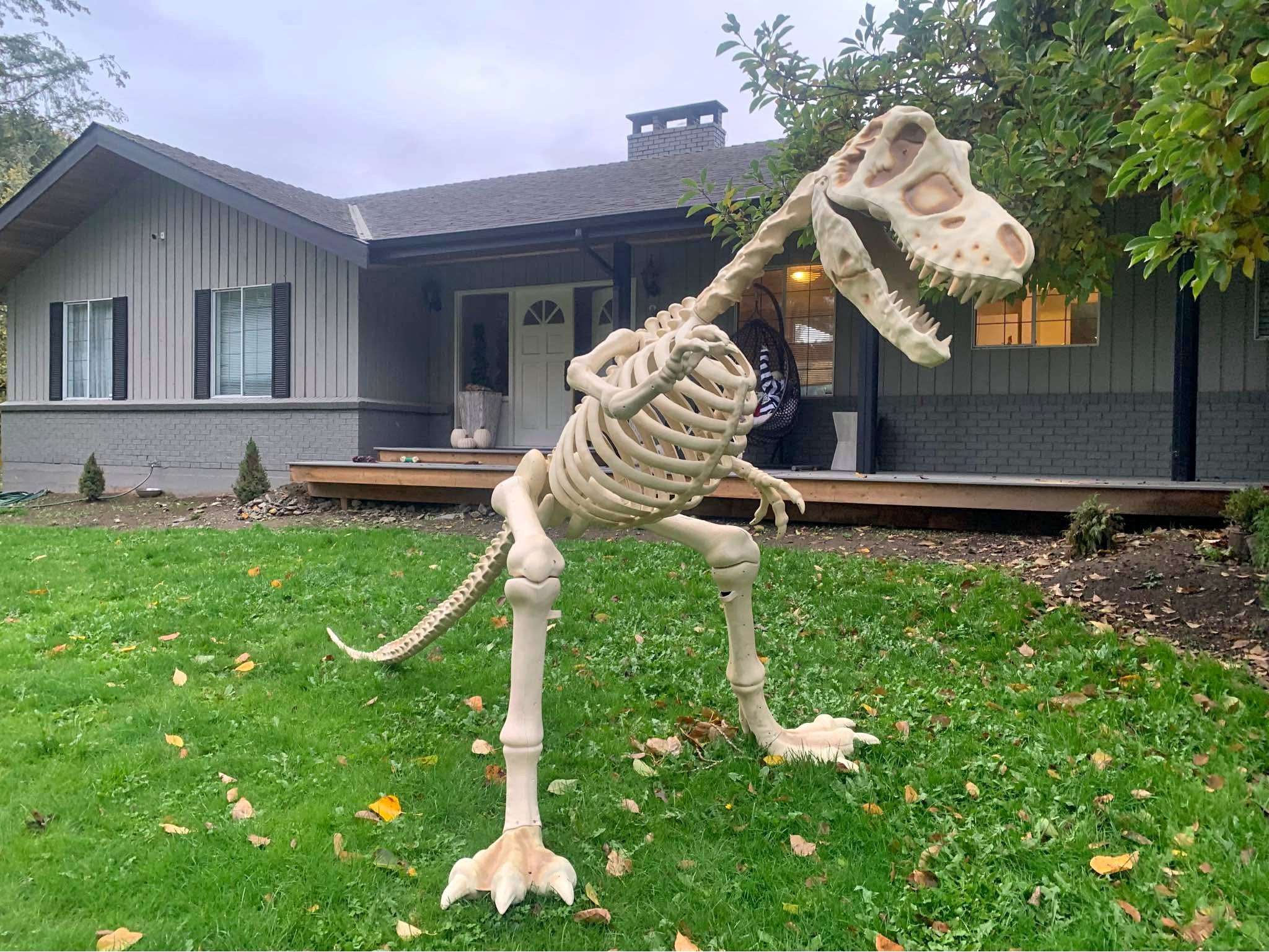 T-Rex skeleton Halloween decor - Holiday Ornaments - Langley, British