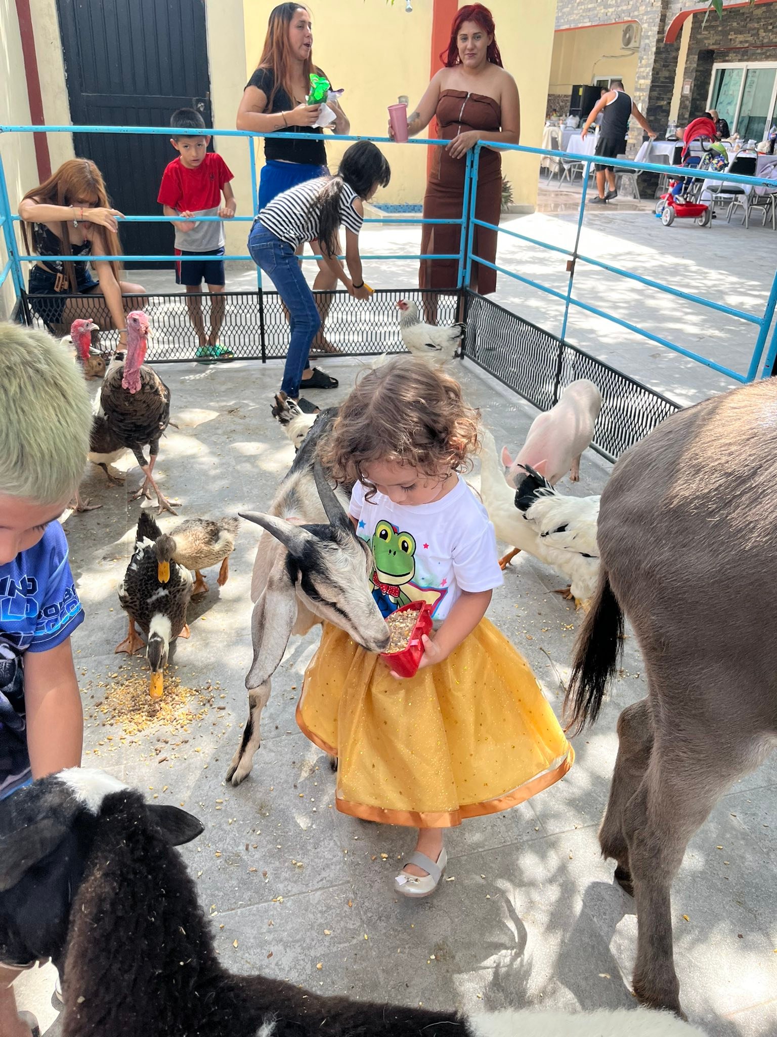 Ponys y Mini Rodeo Lara | Monterrey Centro