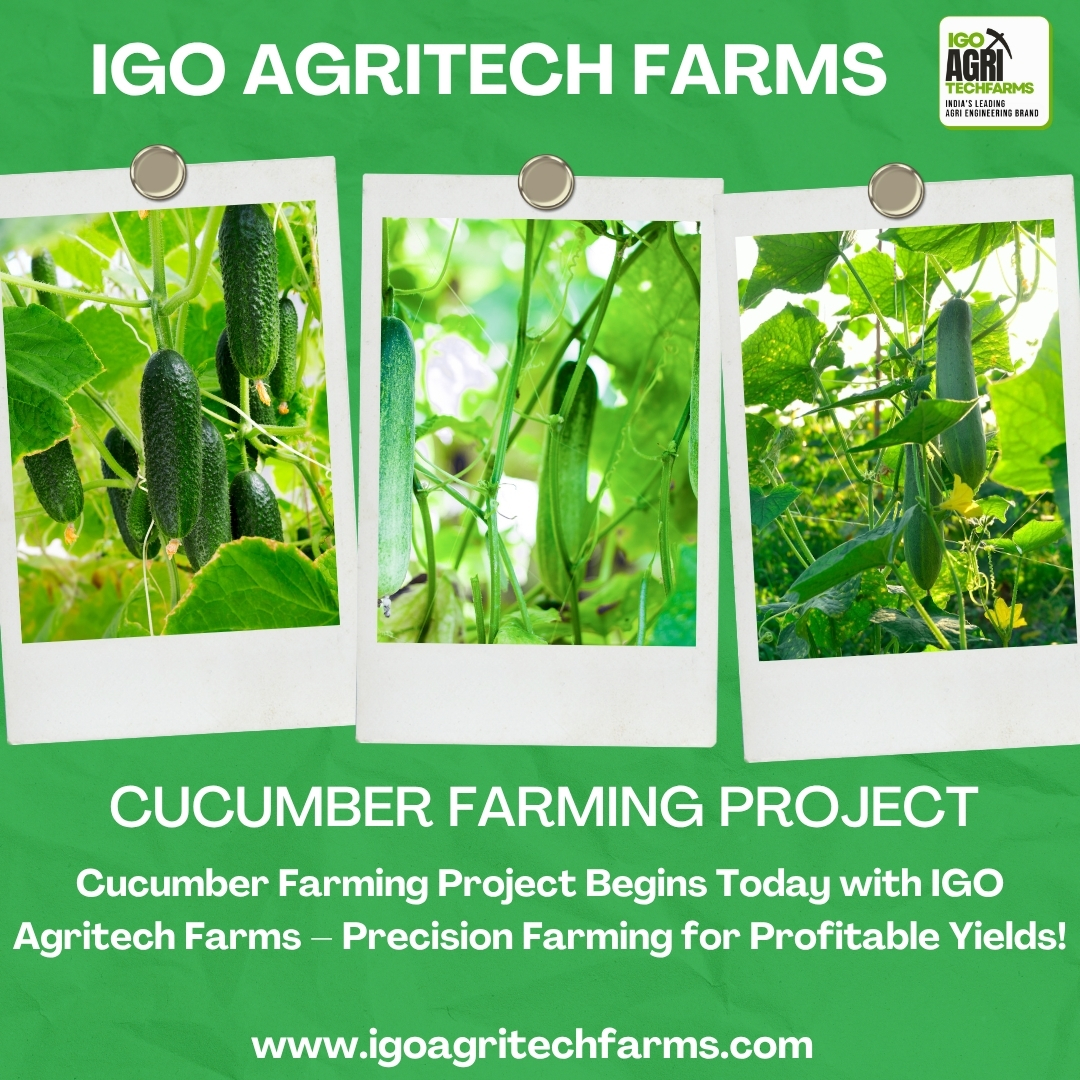 IGO Agri Techfarms added a new photo. - IGO Agri Techfarms
