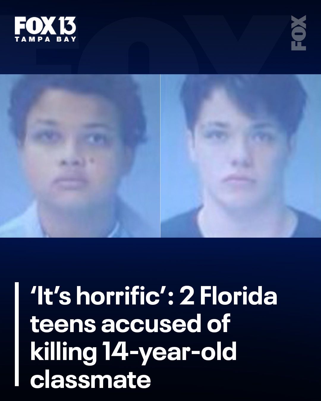 FOX - 'IT'S HORRIFIC': Two Florida teenagers are in custody after ...