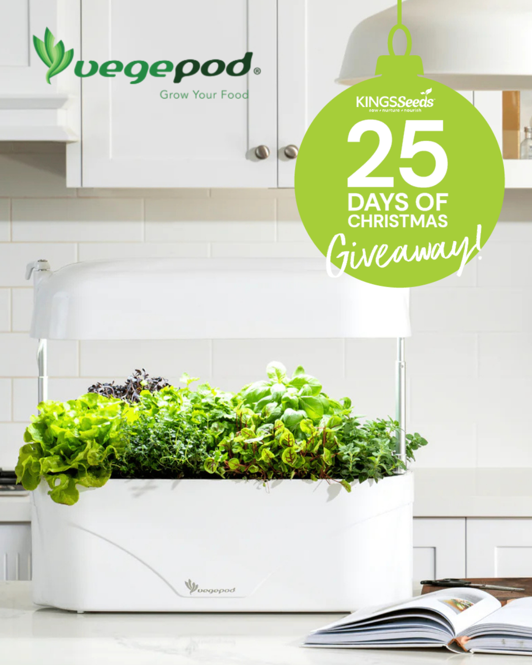 Kings Seeds - 🎄25 Days of Christmas Giveaway - Day 15... | Facebook