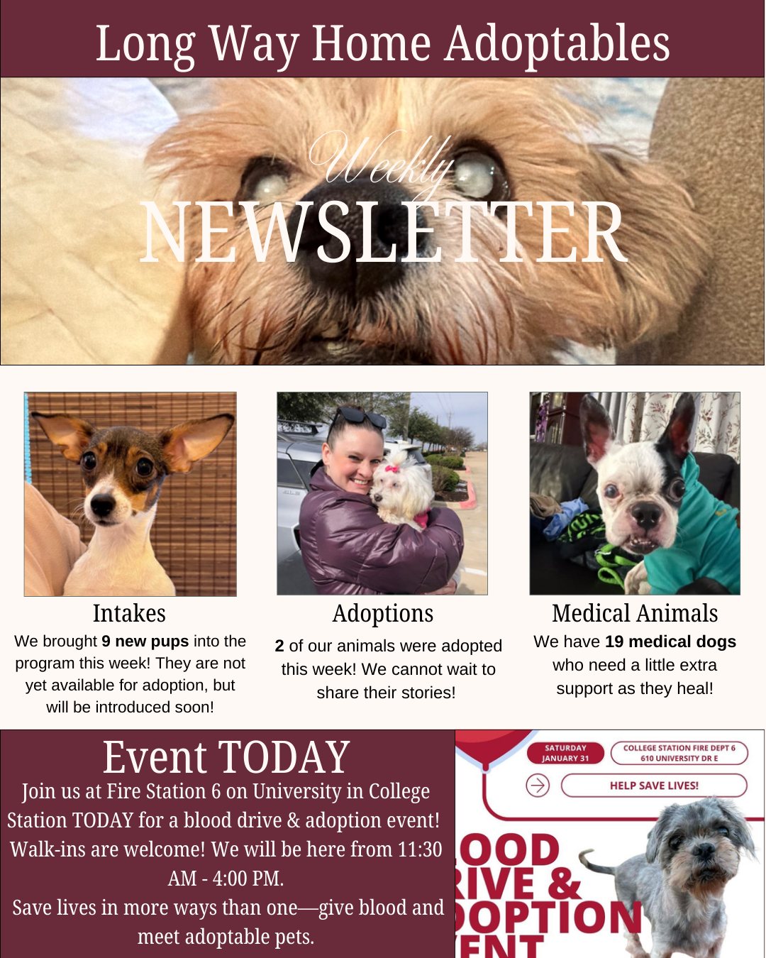 🐾Our weekly update is here!🐾... - Long Way Home Adoptables | Facebook