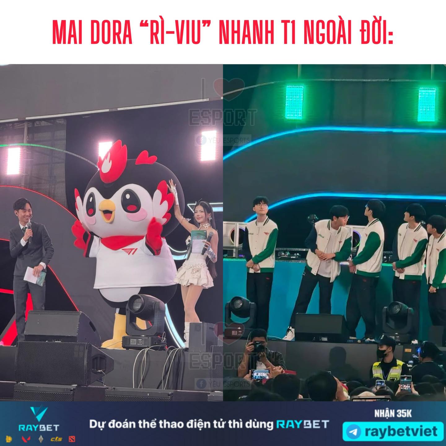 Yêu - 👉Mai Dora - 1/2 MC chính thức của T1 fan meeting 🇻🇳 cùng 