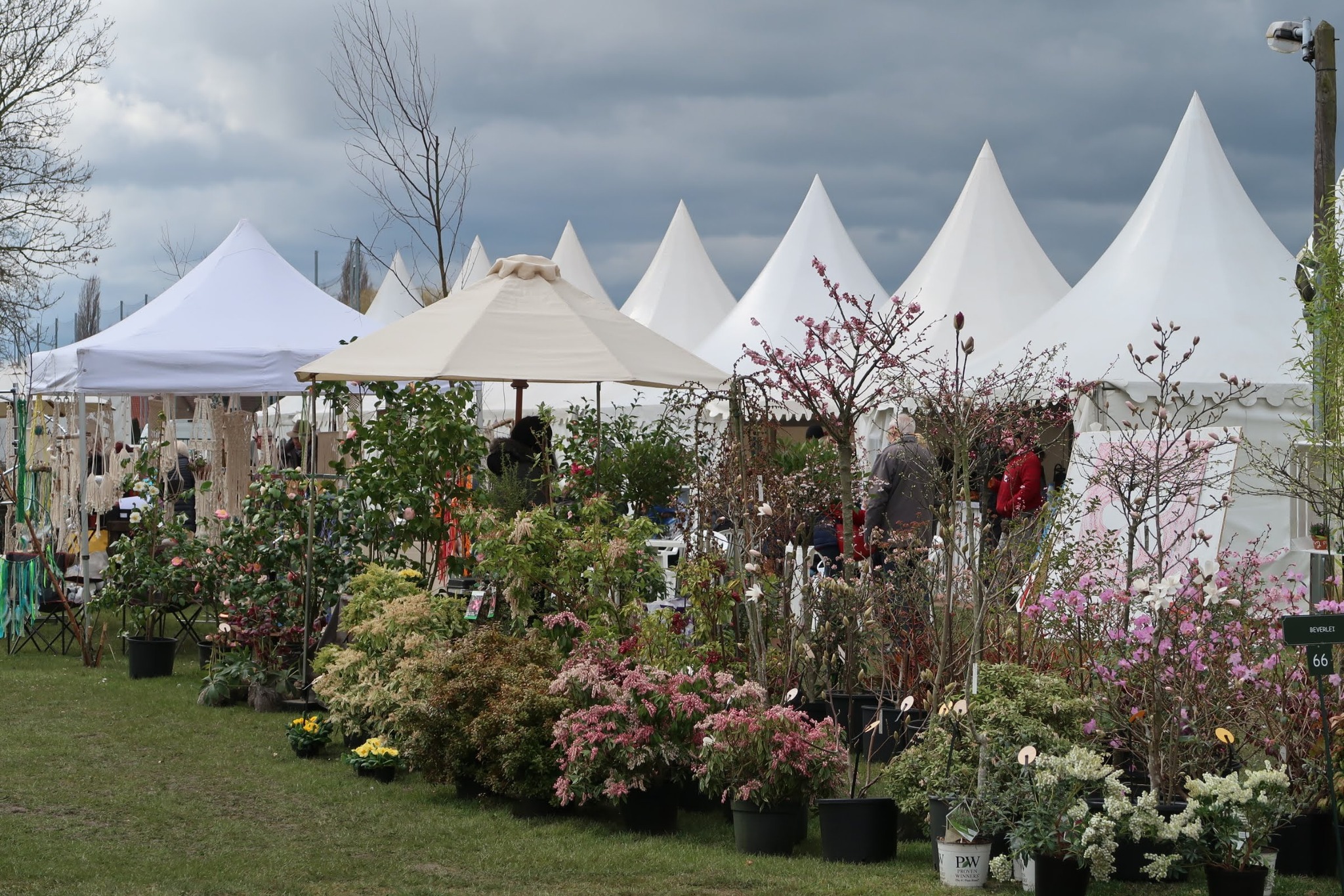 Sitemapcdatahttpsshudreferenzcomfete Des Plantes Locon 2023
