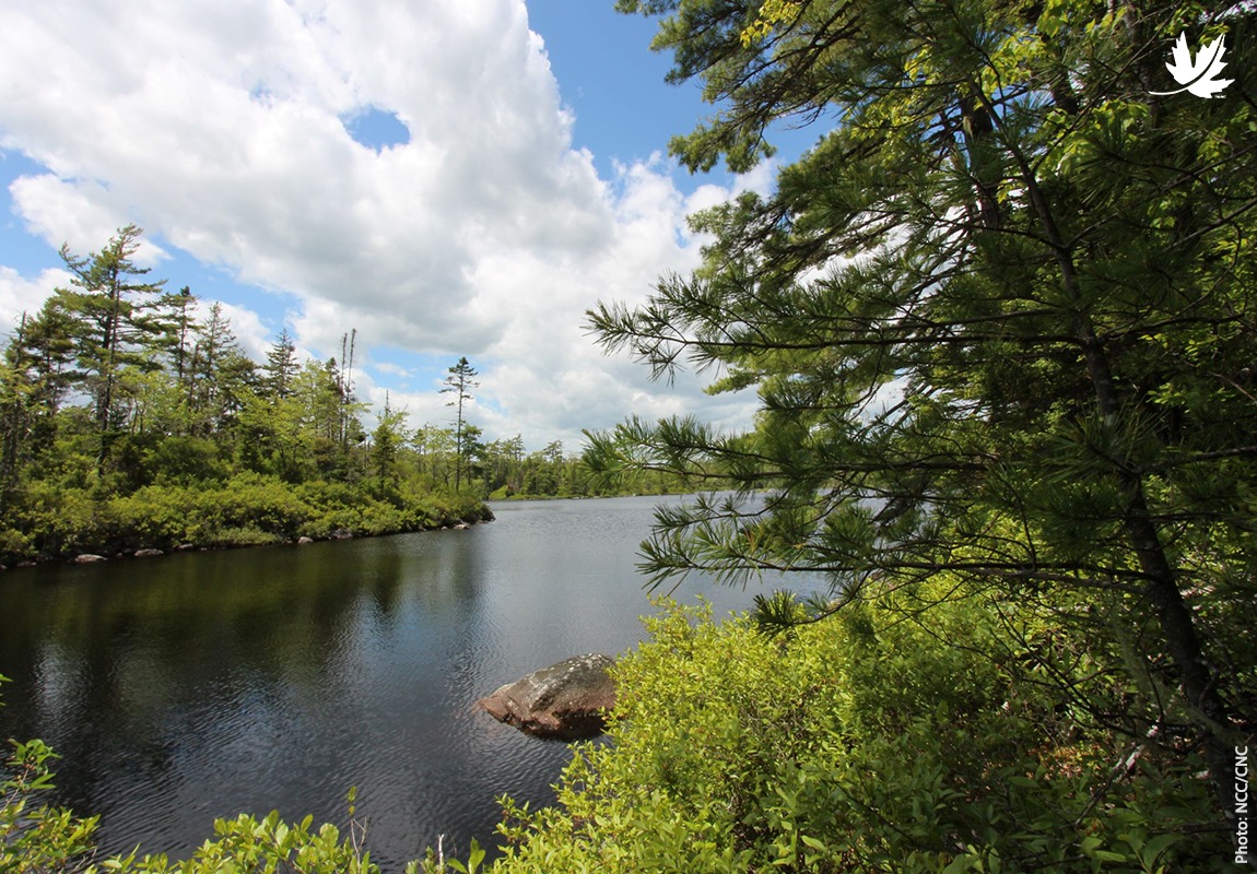 Nature Conservancy of Canada / Conservation de la nature Canada ...